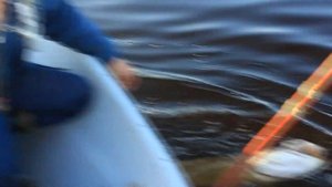 рыбалка в Архангельске.mpg