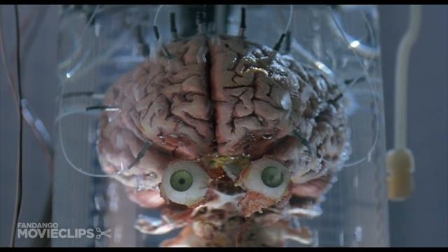 Айсултан Назарбаев. Хватит нам втюхивать фуфлыжный футбол уже хуже с.кореи. Протри мозг.Болелы ФФК смотреть онлайн