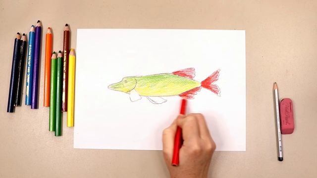 Как нарисовать щуку?Урок рисования ?️