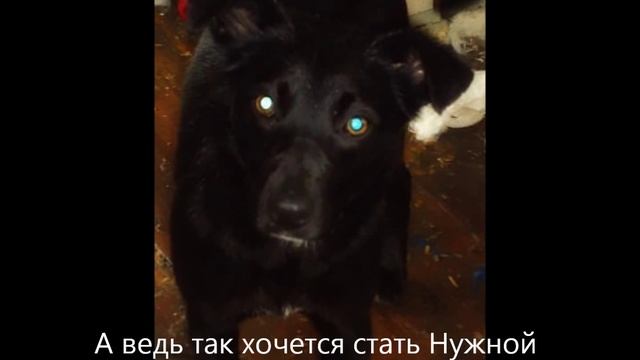 Джуна смотреть онлайн