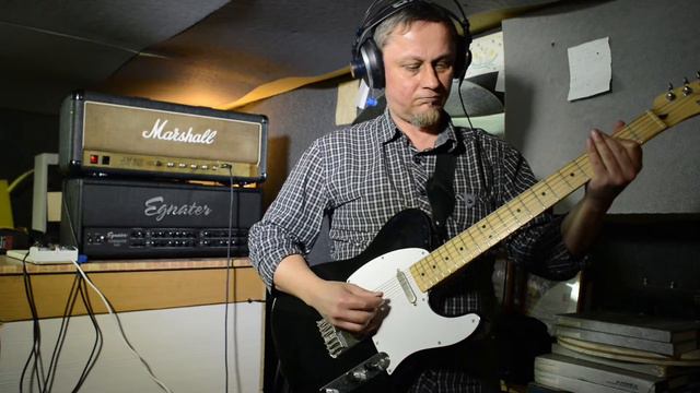 Alexander Pribora Telecaster Blues Classic pickups. смотреть онлайн