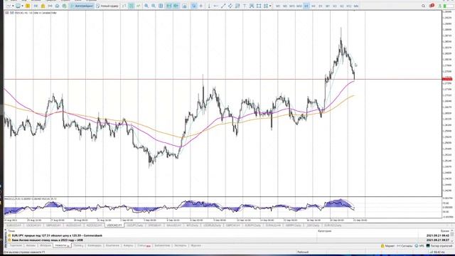 Обзор рынка смотреть онлайн
