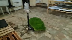 гидропоника корм. закладка 1 кг выход 10 кг влажный