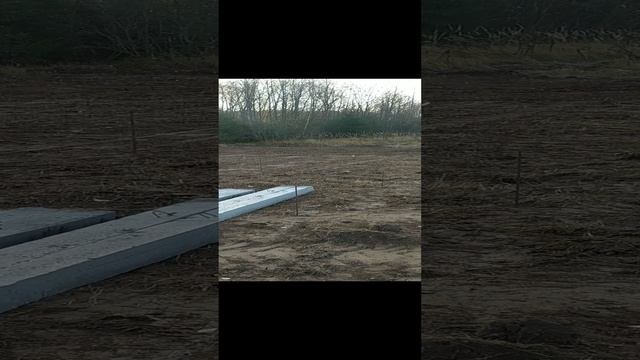 Разметка свайного поля под дом. БарнЛайф 202