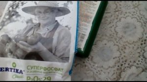 Пустоцветы на томатах!! Как не остаться без урожая??