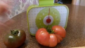 Томат Гигант Кубы  и Сибирские шаньги..обзор и дегустация.