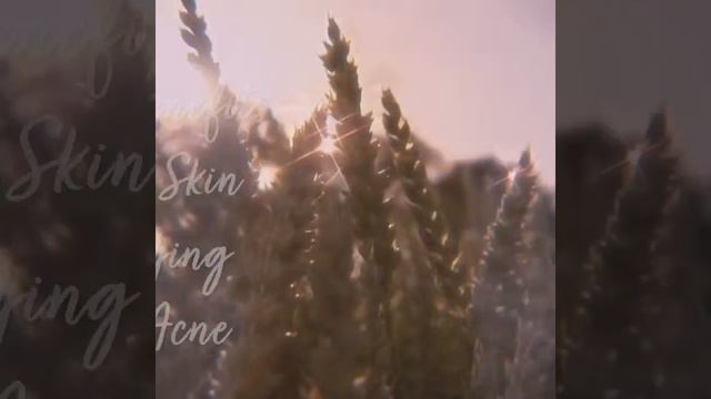 SKIN  Amazing! Turmeric  Ginger Face Mask Benefits by Queens Garden