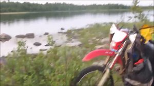 Медведи продолжают проявлять активность в Мурманской области