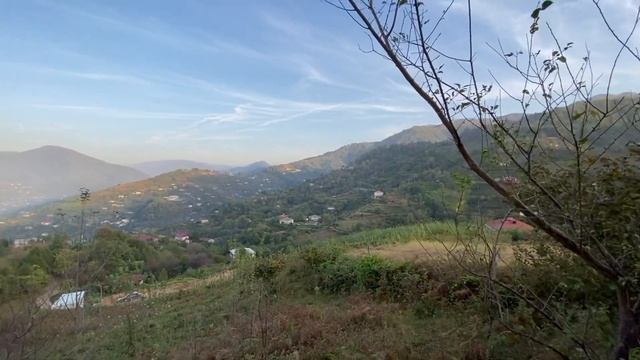 Продаётся не сельхозназначения земля, 1850 кв.м.,12 км. от Батуми,на горе,вид на море,+995558997979 смотреть онлайн