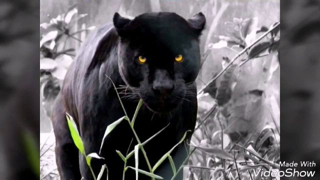 Все мои фотографии😊 смотреть онлайн