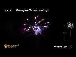 ОС 8350 Кондор (1,1х25 залпов). www.isalutov.ru тел.: 8908 992-43-53 / 89146649499