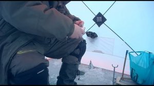 Удачная зимняя рыбалка. Крупная тарань. Кто выключил клев? Подводная съемка.