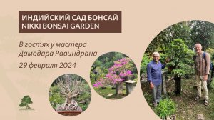 Сад бонсай в Индии