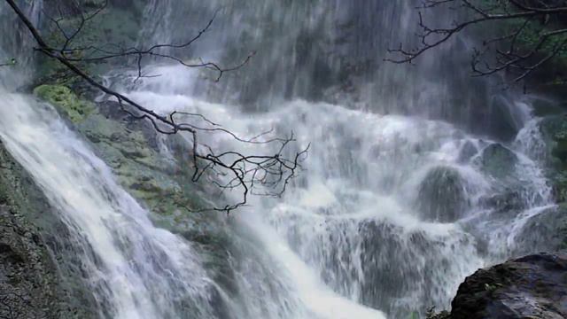 ЛЕСНОЙ ОЛЕНЬ. Поет Светлана Светикова смотреть онлайн