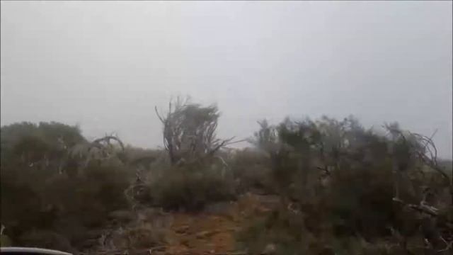 ТЕНЕРИФЕ - Вулкан ТЕЙДЕ. Удивительно сказочные места! Tenerife - Teide