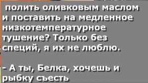 Чербелоидный подкаст #348 -  Псевдорыбный омлет или На хорошо не скажешь плохо