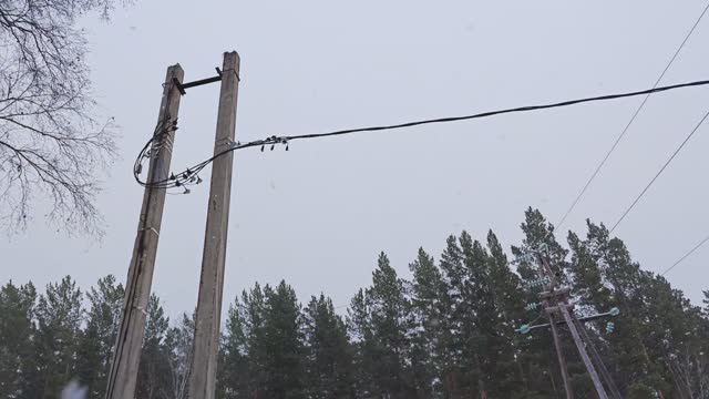 Электричество подбирается к дому.