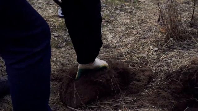 Первый коп в поле ! смотреть онлайн