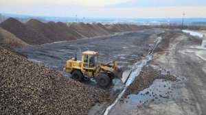 «Сергачский сахарный завод» в Нижегородской области. Горы сахарной свеклы)