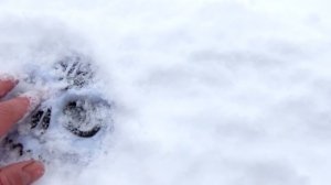 ПРИЗРАК В РЕАЛЬНОЙ ЖИЗНИ Мистика ПРАНК над Парнем