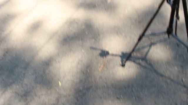 Cute Black lace OOTD смотреть онлайн