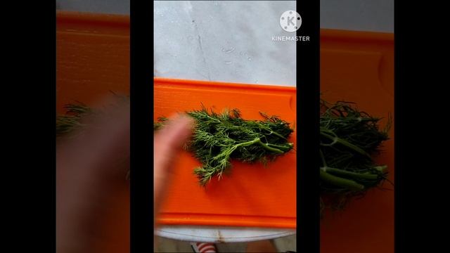 ВкусНяшно