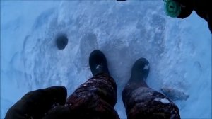 ПОПАЛ В СТАЮ ФОРЕЛИ, ВИБ 58 ОТ LJ, КАК ЛОВИТЬ НА РАТЛИНЫ