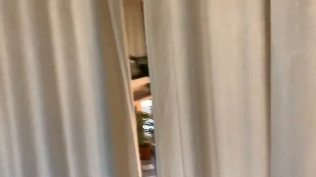 Банкетный зал «Пантеон» в Царицыно - видеообзор ресторана и террасы
