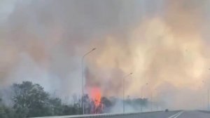 В Волгодонске Ростовской области пожарные борются с крупным ландшафтным пожаром. ⠀