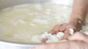 Домашний сыр из молока и уксуса