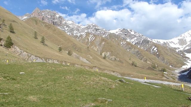 Красные олени в Швейцарском национальном парке. Долина Друпхун, земля Энгадин смотреть онлайн
