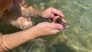 Мы на море 2021