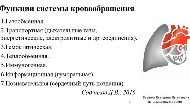 Основы Функциональной Системы Кровообращения. Зеулина Е.Е.