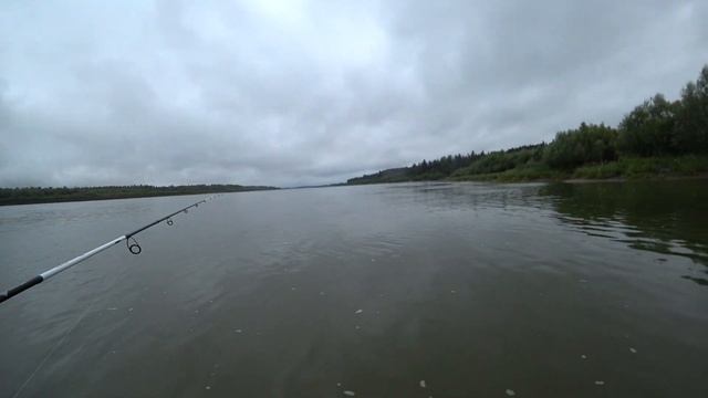 Щука на спиннинг на Оби в августе 2021 смотреть онлайн