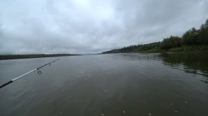 Щука на спиннинг на  Оби в августе 2021