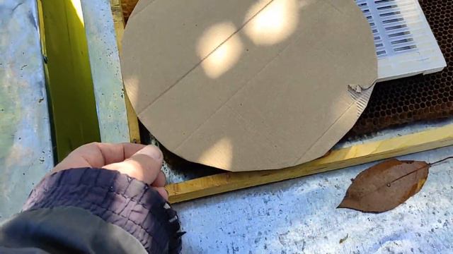 Изоляция маток в зиму. Изолятор Хмары. Почему пропадают матки осенью 2022г? смотреть онлайн