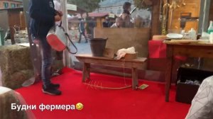 Мастеркласс от итальянского фермера и как приготовить сыр за 10 минут “Primo sale”
