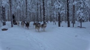 Финляндия | Дружболандия. Кругосветное путешествие