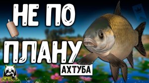 RF4 ВСЁ ПОШЛО НЕ ПО ПЛАНУ И СЛУЧИЛОСЬ ЭТО #рр4