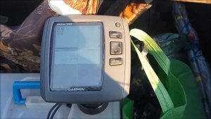 Сом на эхолоте Garmin echo 200