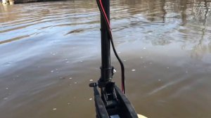 Minn Kota Endura C2 Trolling Motor Review and Test // 55 lb Thrust /Budget Trolling Motor