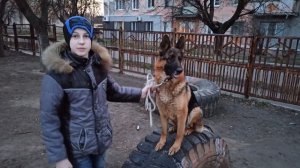 Как научить собаку команде Барьер и дополнениям к ней. Дрессировка собак.