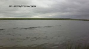 Suzuki DF 2.5 - взгляд со стороны