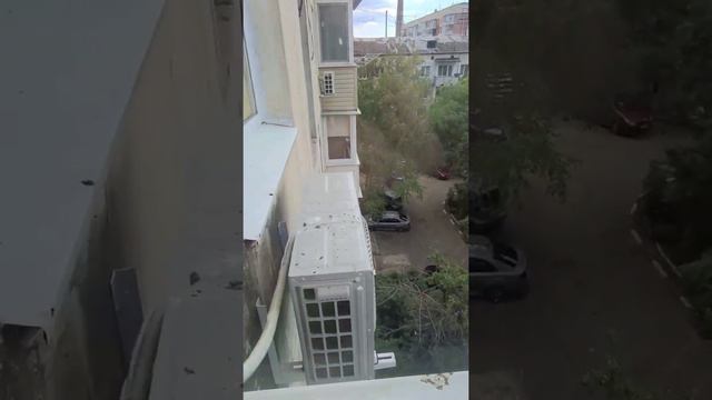 Пустельга прилетела на балкон смотреть онлайн