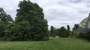 США. Плантация Арборетум. Planting Fields Arboretum