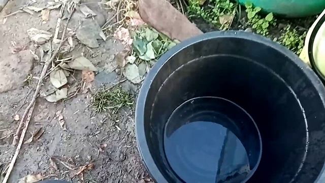 Обрезала кусты крыжовника. Обработала деревья. смотреть онлайн