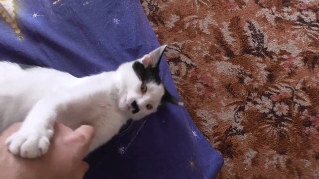 Не шали. смотреть онлайн