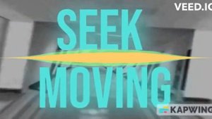 Seek Moving DOORS Unused OST