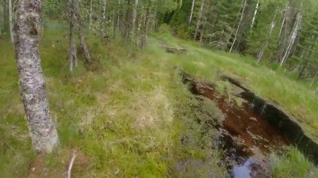 Обхожу обновляю солонцы Почему медведь посещает солонцы Медведь повредил фотоловушку Мини600 подвел смотреть онлайн