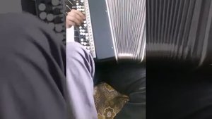Онытылыр эле дисенме ....